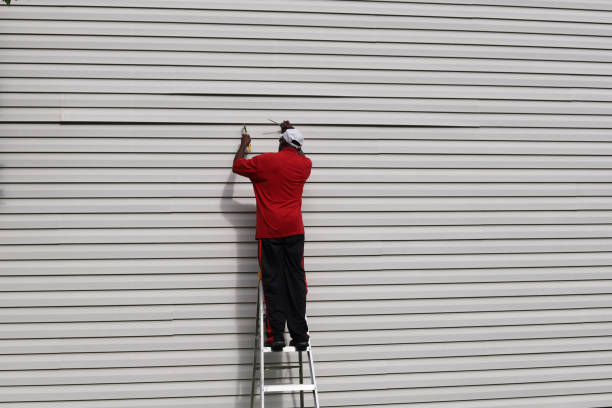 Best Brick Veneer Siding  in Mendon, UT