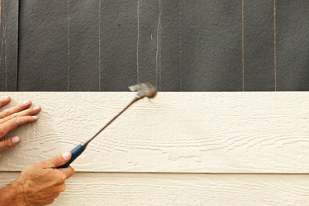 Best Vinyl Siding Installation  in Mendon, UT