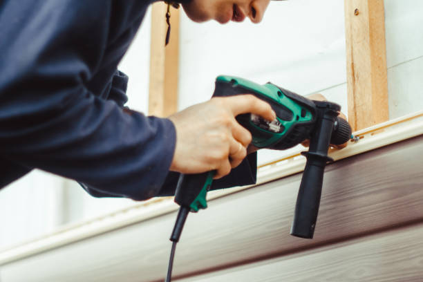 Best Vinyl Siding Installation  in Mendon, UT